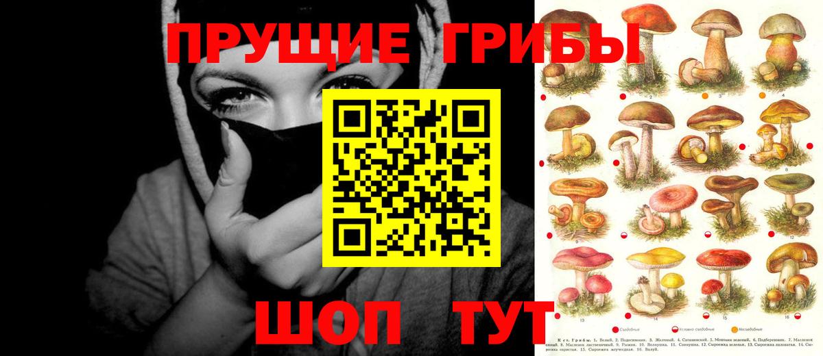 Псилоцибиновые грибы мицелий  Псилоцибиновые грибы мицелий  Вход с VPN  Самара 