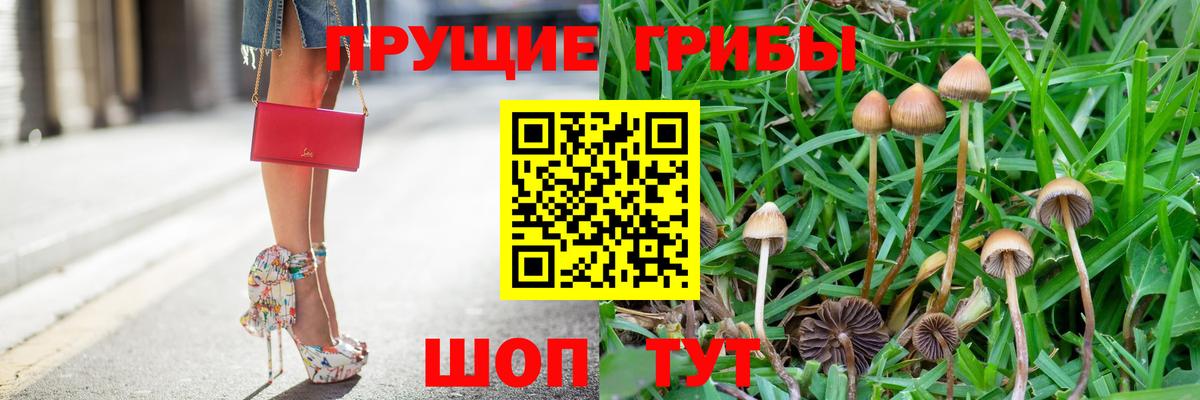 Псилоцибиновые грибы мицелий Самара